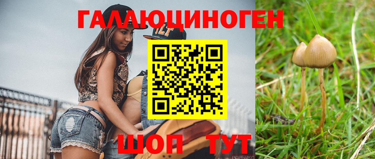 Можга  Псилоцибиновые грибы Magic Shrooms  Вход с VPN 