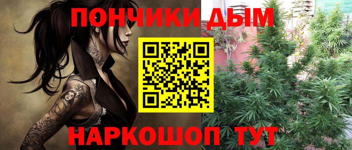 Бошки марихуана SATIVA & INDICA  Бошки Шишки VHQ  Вход с VPN  Можга  Бошки Шишки семена 